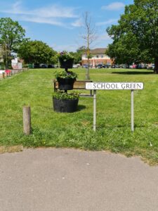 school green photo