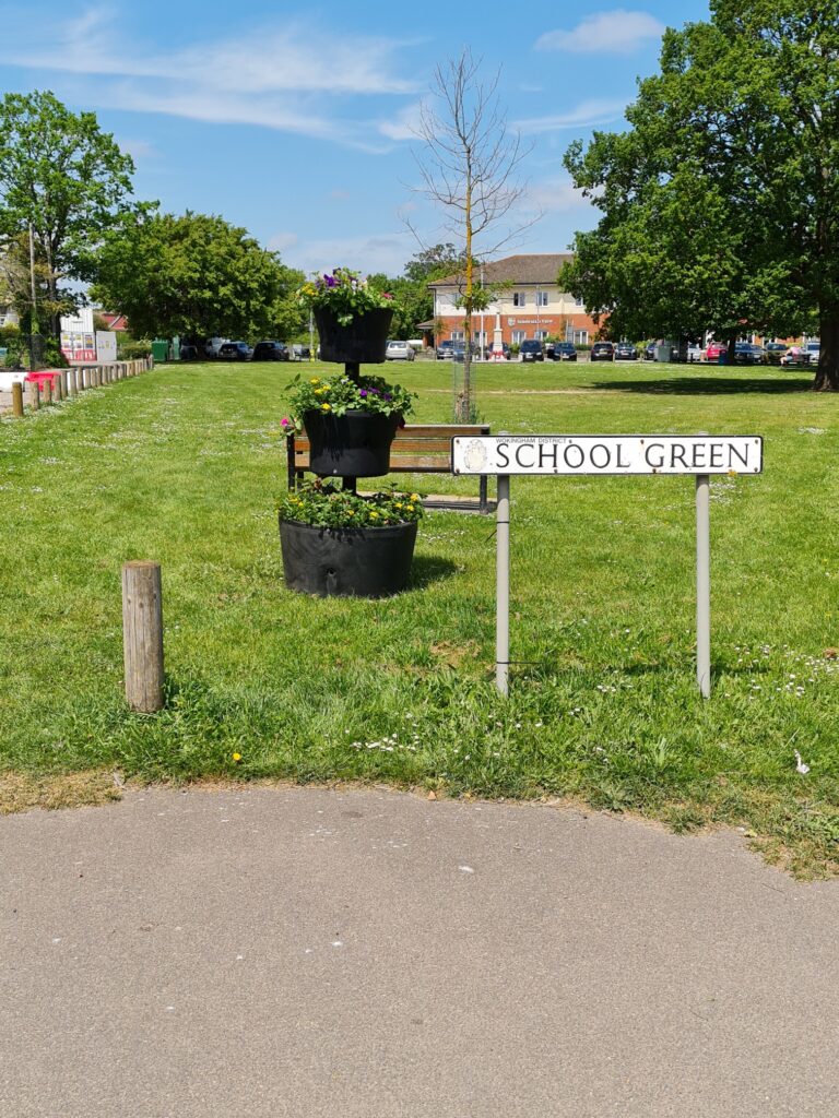 school green photo