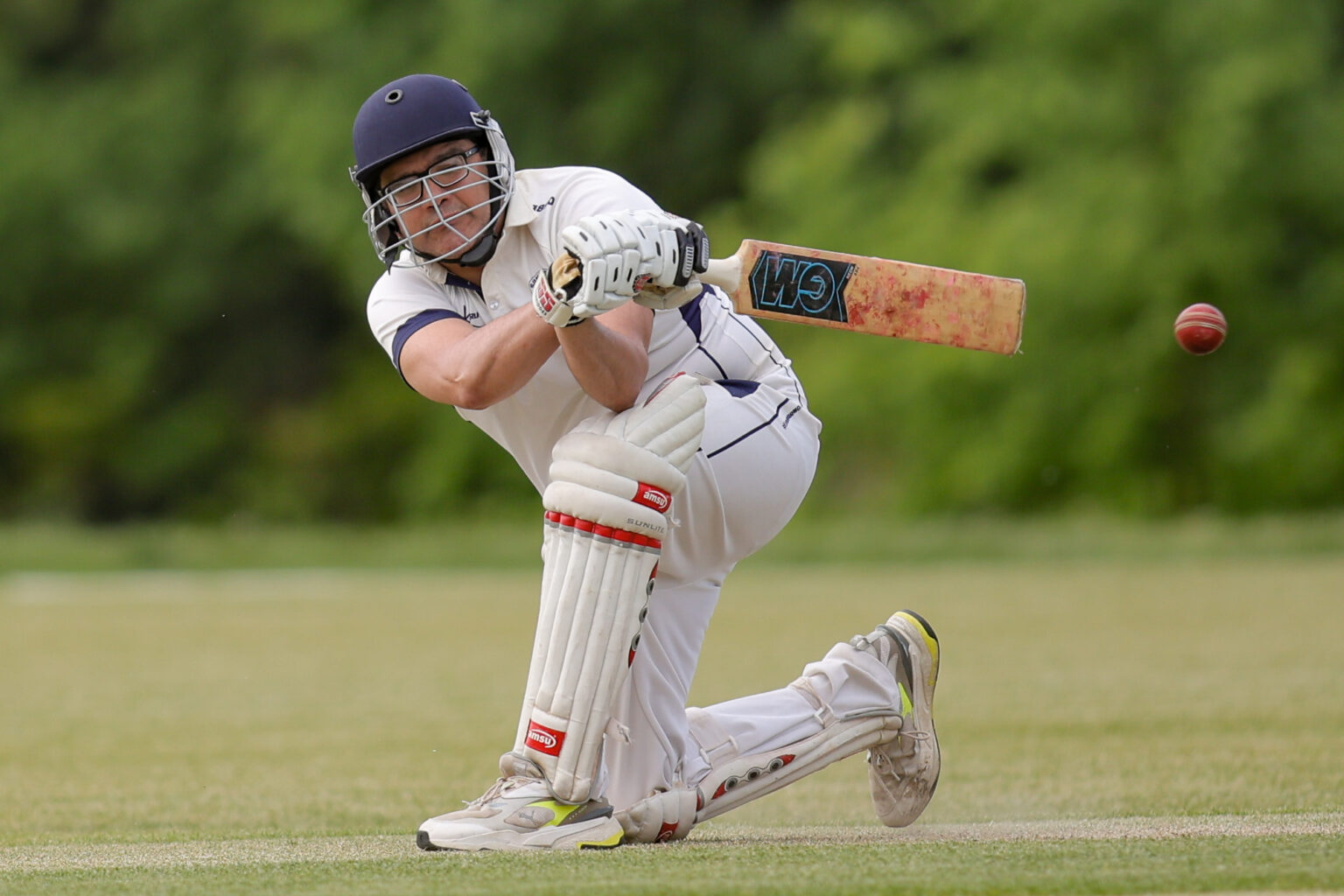 cricket photo