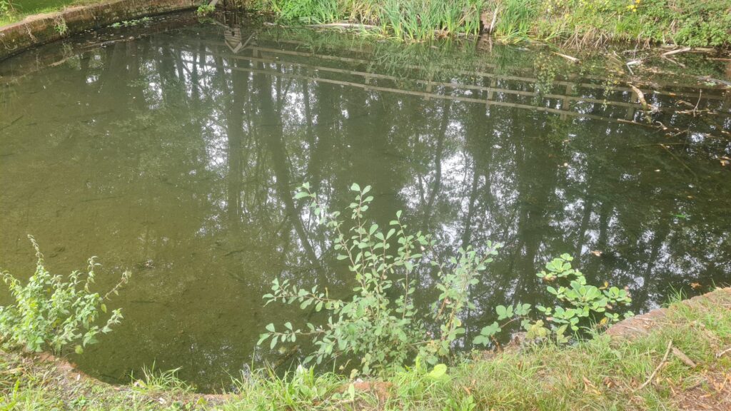 photo of grazeley pond
