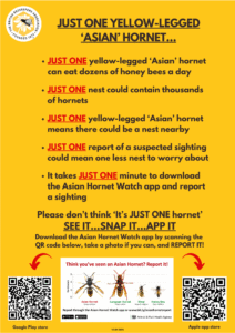 On behalf of the Wokingham District Beekeeping Association please stay alert and report any sightings of the Yellow-Legged Hornet, a major predator of bees. Further information is available on the flyers and how to report. Why it matters ⬇ 🐝It hunts bees directly: yellow-legged hornets often wait outside hives and catch worker bees as they come and go. 🐝It weakens colonies: when bees are constantly under attack, they spend less time foraging for nectar and pollen. 🐝It can reduce pollination: fewer healthy bees means less pollination for gardens, crops, and wild plants. 🐝It spreads quickly: if nests are not found early, the population can grow and become much harder to control. 🐝It affects beekeepers and biodiversity: losses can hurt local beekeeping and also disrupt the wider ecosystem.